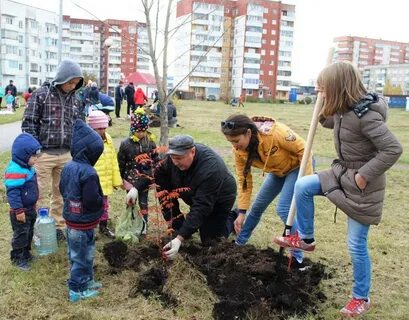 Мастер по благоустройству