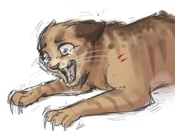 Коты воители убитый кот. Коты воители медобока. коты воители смерть медобоки. коты воители медобока смерть. коты воители смерть медобокой.