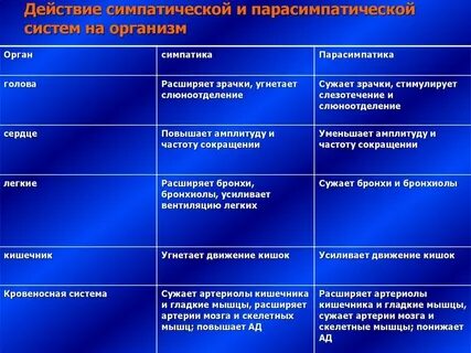 Расширение зрачка какой отдел нервной системы