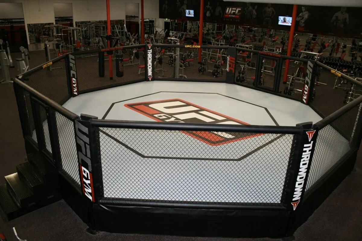 Octagon