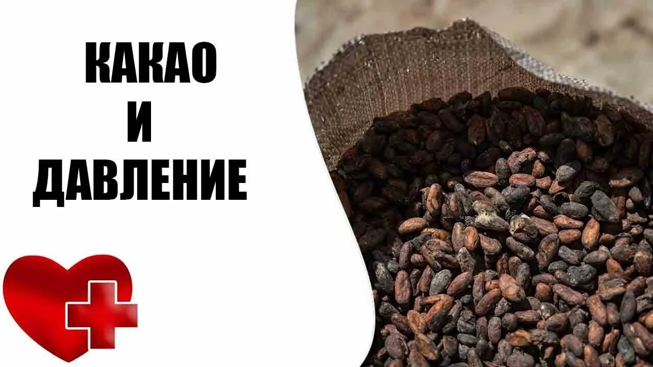 Понижает какао. Какао поднимает давление. шоколад и давление. какао и артериальное давление. какао при гипертонии.