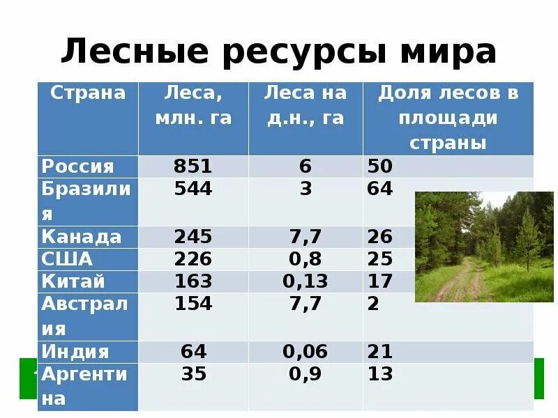 В каких странах есть леса. Мировые Лесные ресурсы. Таблица лесных ресурсов. Лесные ресурсы России. Лесные ресурсы таблица.