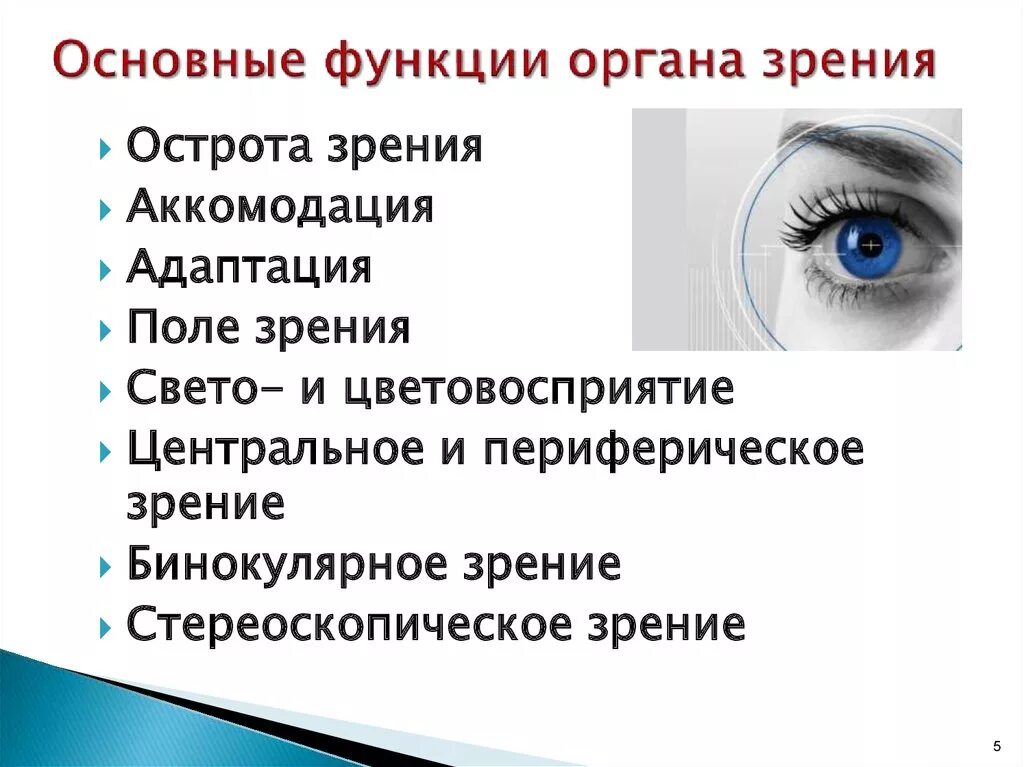 Какие точки зрения на причины и способы. Функции органа зрения. Функции органатзрения. Функции органа зрения офтальмология. Основная функция органа зрения.