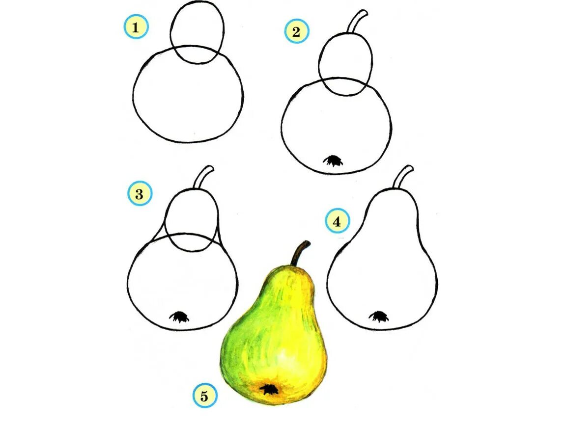 Рисование фруктов и овощей. Поэтапное рисование овощей. Поэтапное рисование натюрморта для детей. Пошаговое рисование фруктов для детей. Фрукты урок 1 класс