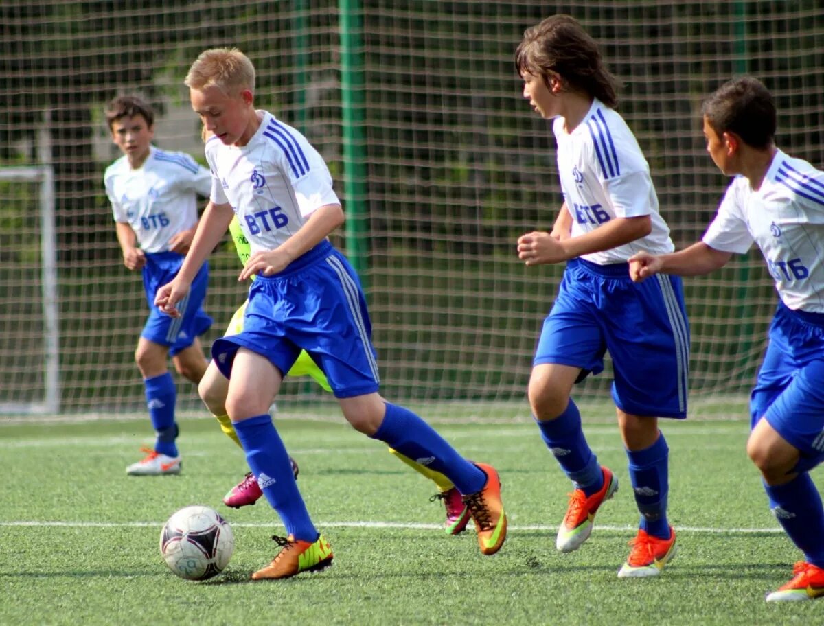 академия динамо им яшина москва. футбольная школа динамо москва. футбол россошь детский динамо. детский футбол динамо. мартин кушев футболист шинник.