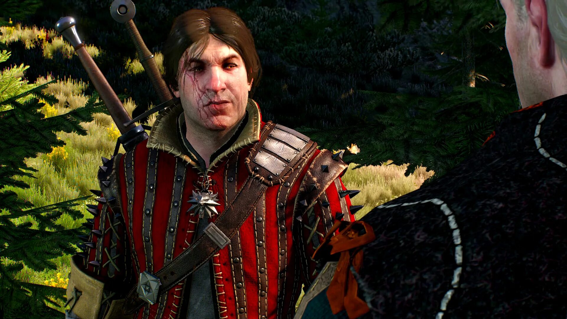 Рейтарский доспех. Рыцарские доспехи с юбкой. Фалько доспех. Броня нильфгард ведьмак 3. Доспех жандарма 16 века.