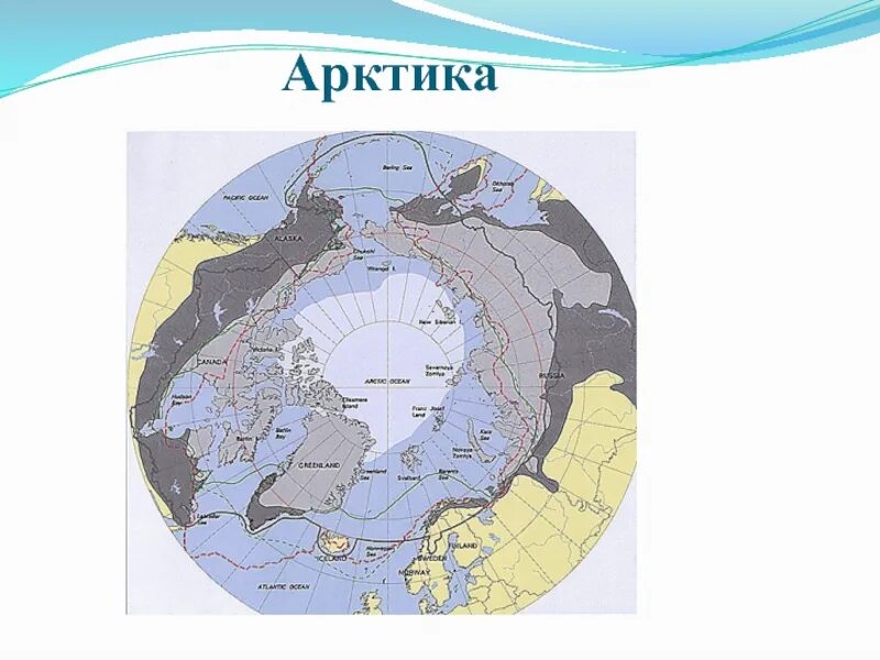 Арктика на карте. Арктика ра кар. Арктика на шеокарте. Артик каре.