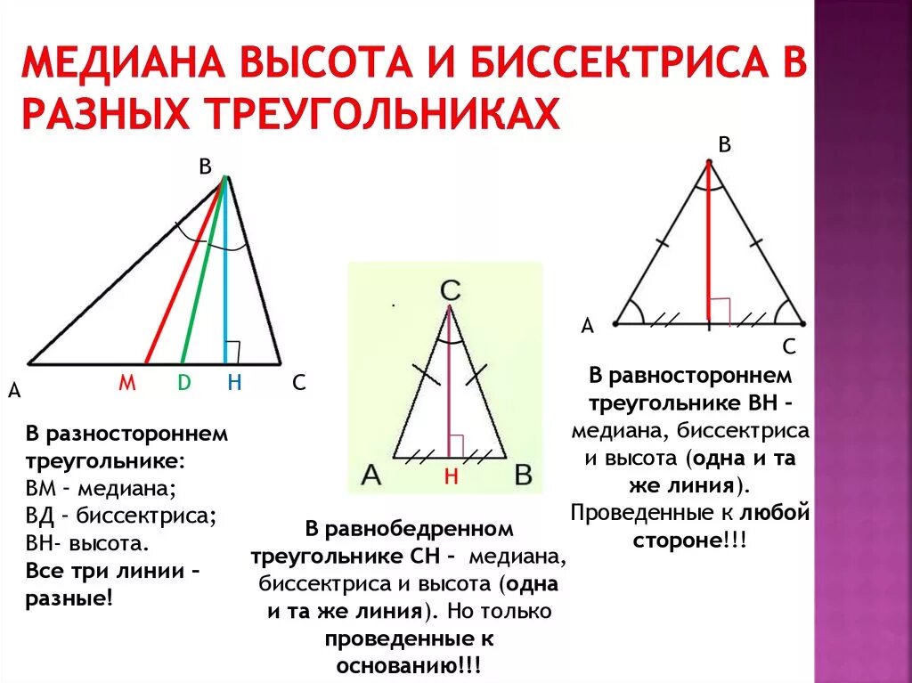 Что показывает высота в треугольнике. Медиана биссектриса и высота треугольника. Что такое Медиана биссектриса и высота треугольника 7 класс геометрия. Как выглядит Медиана биссектриса и высота треугольника. Таблица с медианами и биссектрисами треугольника.
