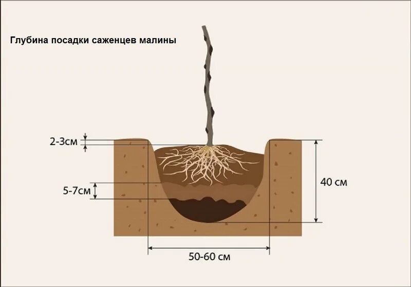 На какую глубину человек