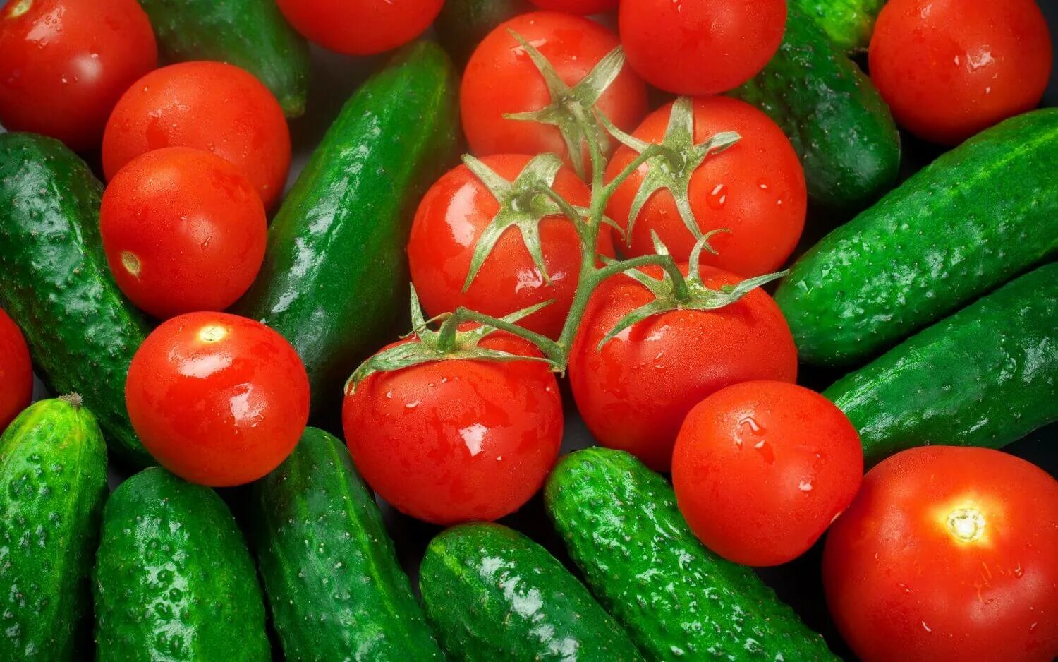 Vegetables and cucumber. Огурец мева. Огурцы и помидоры. Огурцы в томате. Тепличные овощи.