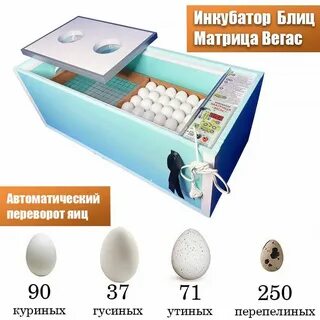 Инкубатор для яиц блиц