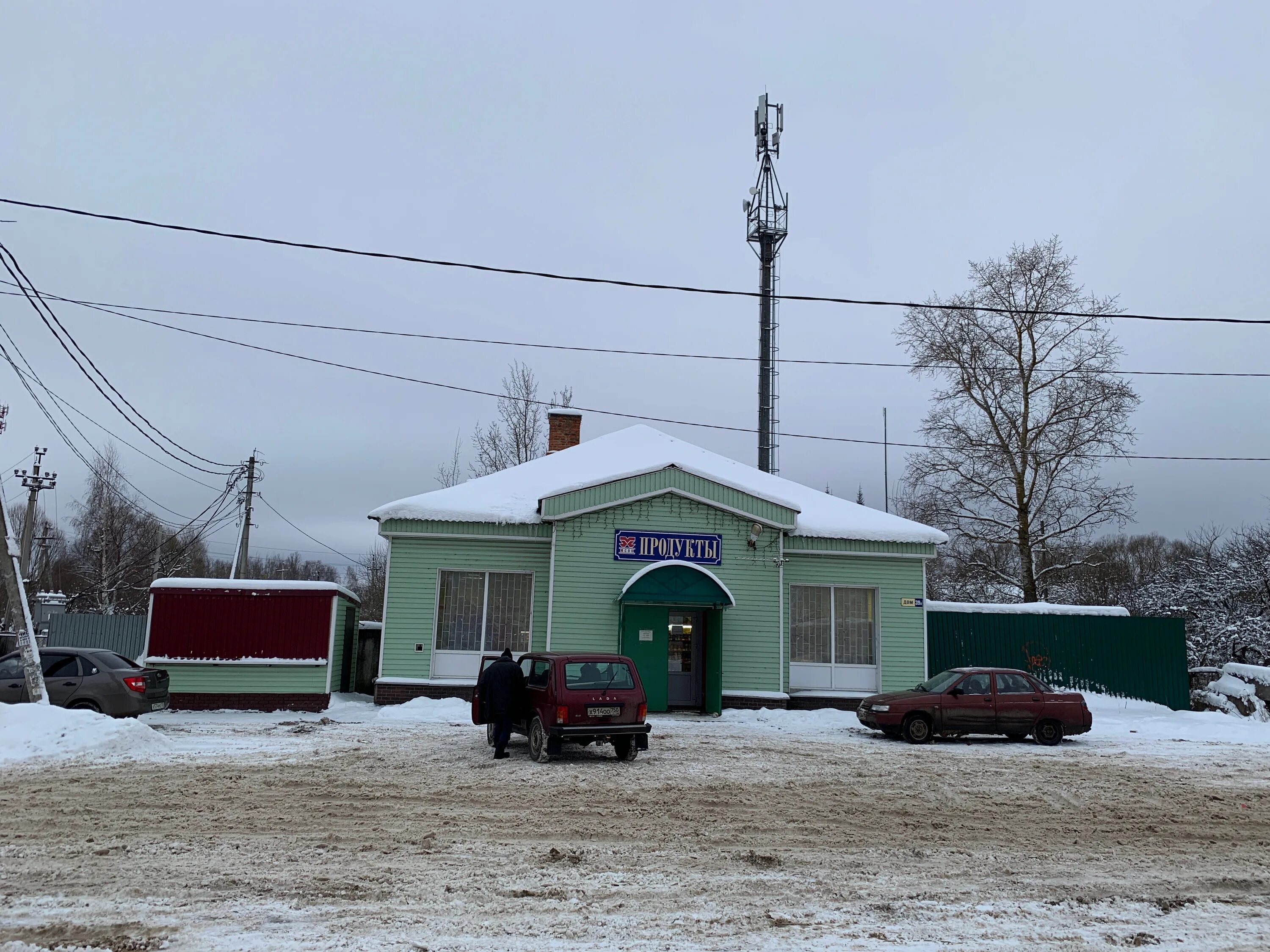 Рп 5 наро осаново. Осаново вологда. Рп 5 наро осаново. Рп 5 наро осаново. Рыхлик наро осановский.