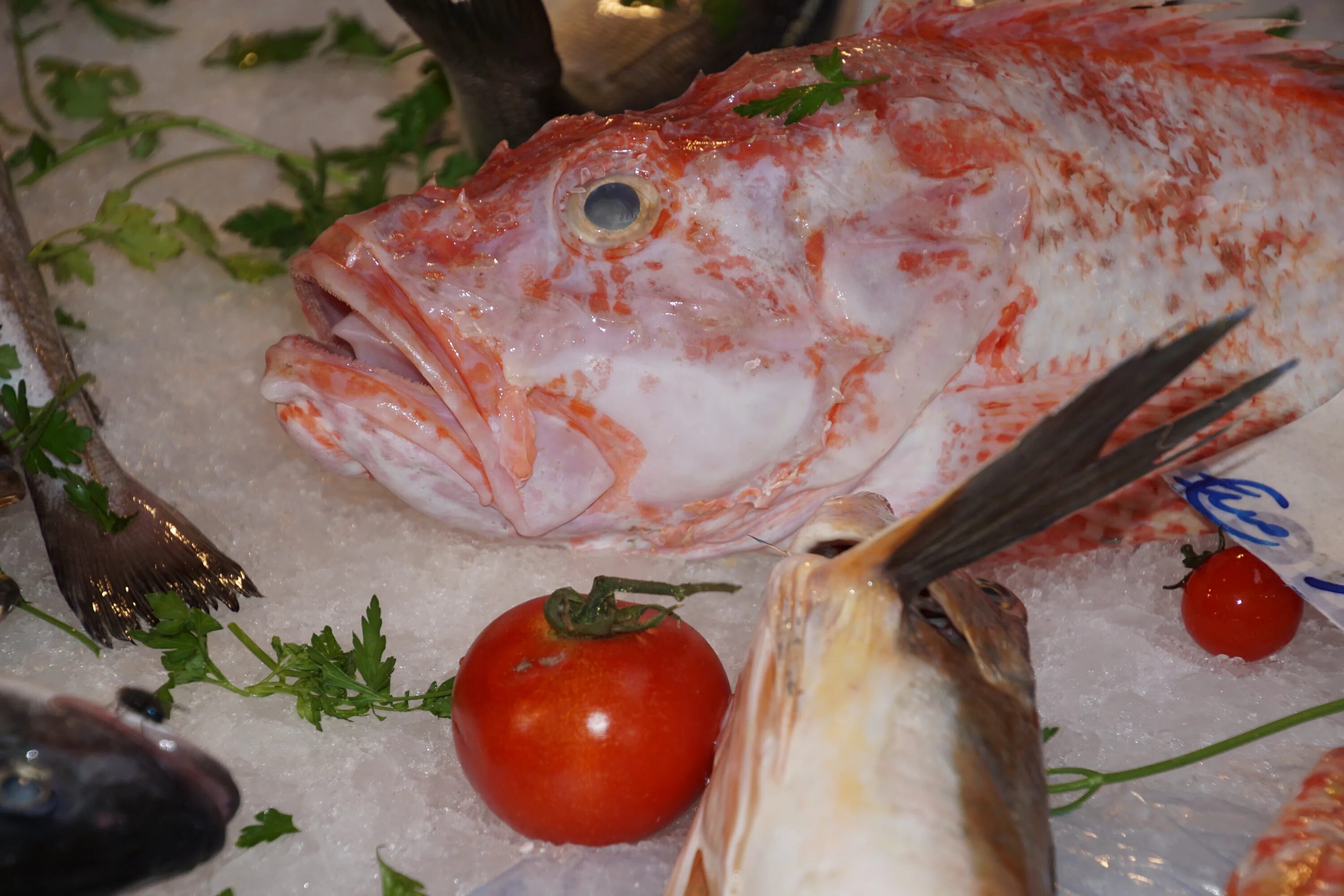 Купить вкусную рыбу. Рыбный рынок в Палермо. Рыба Сицилия. Вкусная рыба. Самая вкусная рыба.