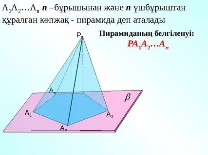 Бұйра киска төрт аяғында тұрады
