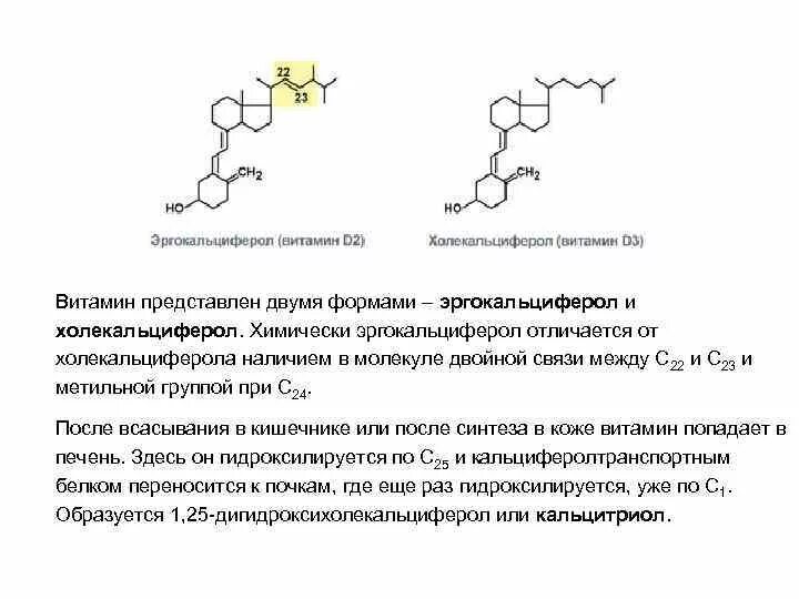 Чем отличаются витамины д. Эргокальциферол (витамин d2). Витамин д3 холекальциферол. Витамин д2 и д3. Отличие витамина д от витамина д3.