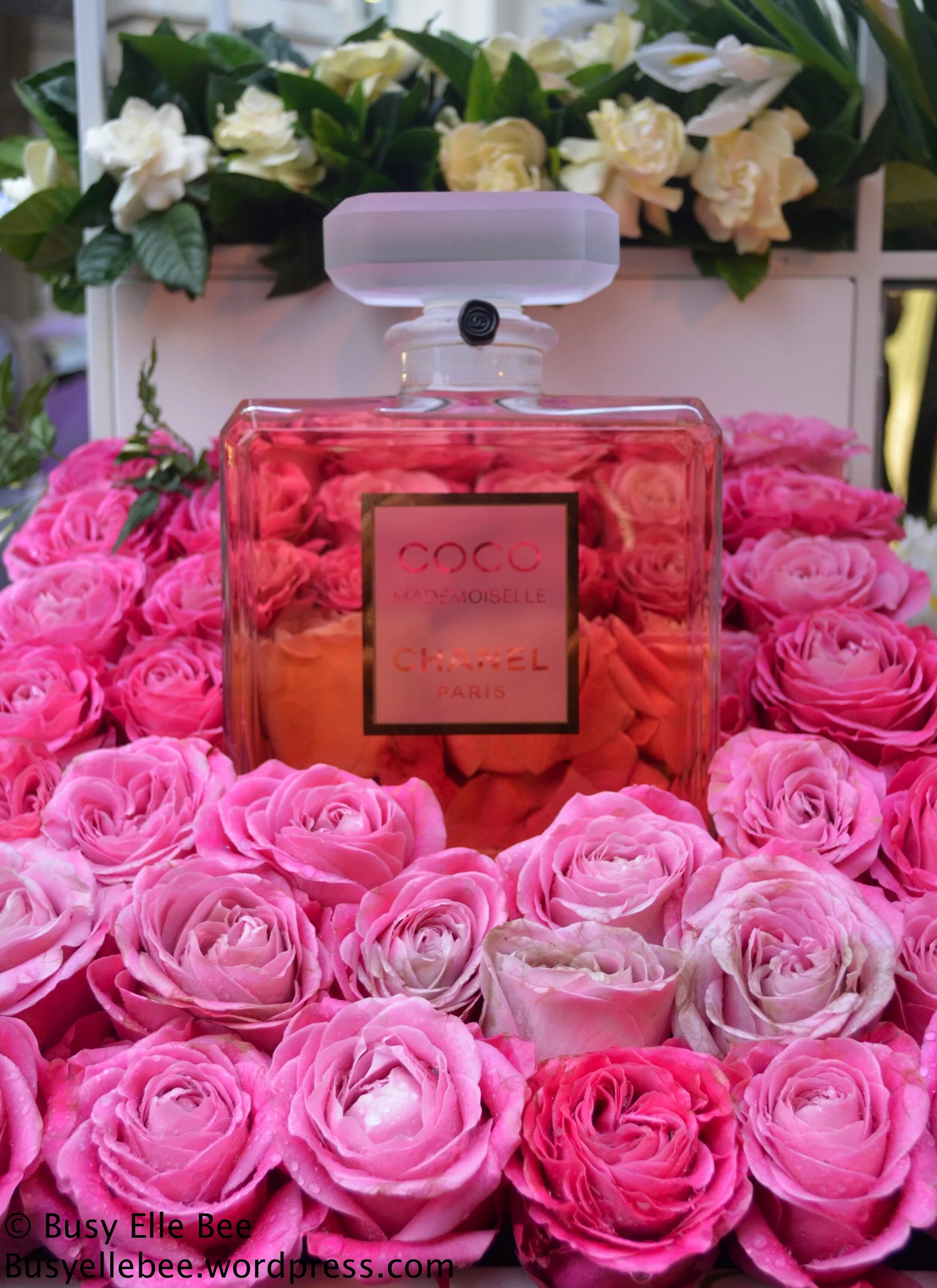 Chanel Parfum Rose. Духи Шанель Камелия.