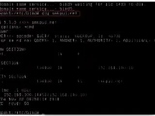 Debian dns сервер