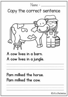 Copy the sentences