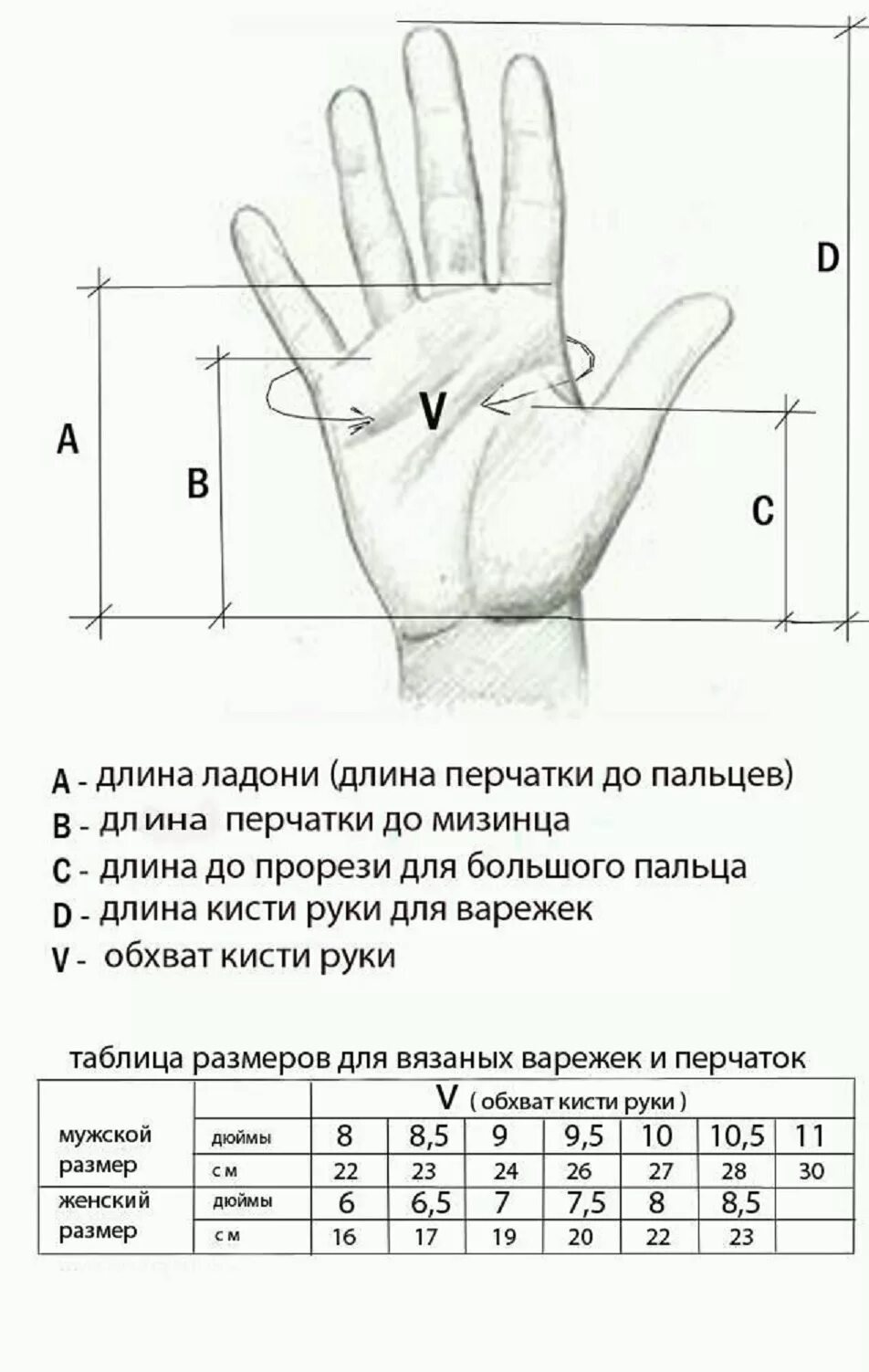 Как измерить руку для перчаток. Снятие мерок для вязания варежек. Размер детской руки для вязания перчаток таблица. Мерки для вязания варежек спицами. Снятие мерок для вязания варежки.