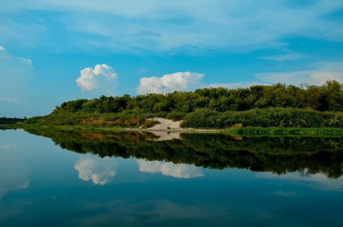 Берег дона сайт