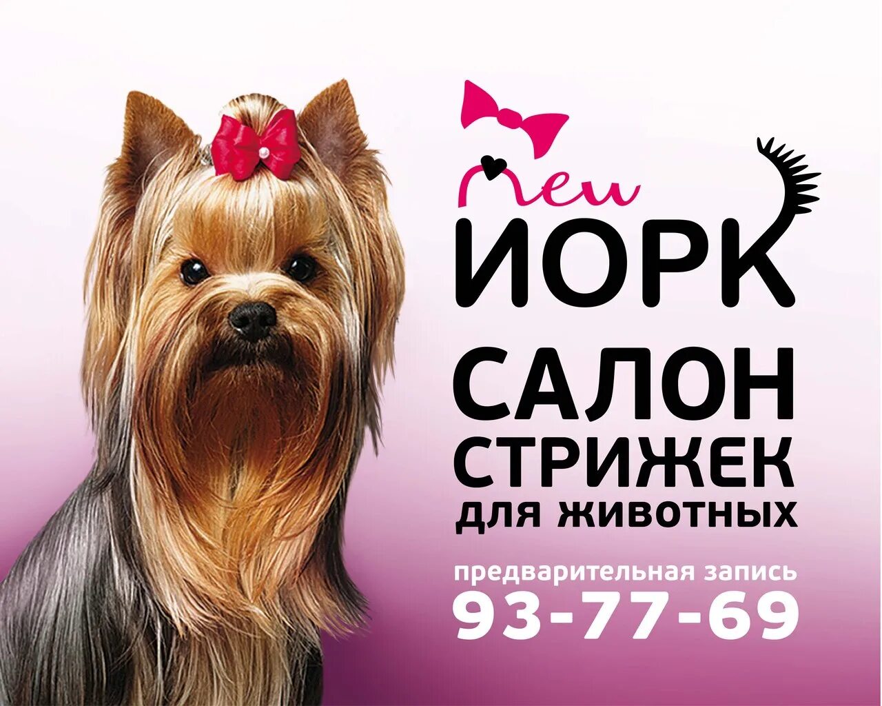 Как называется стрижка собак