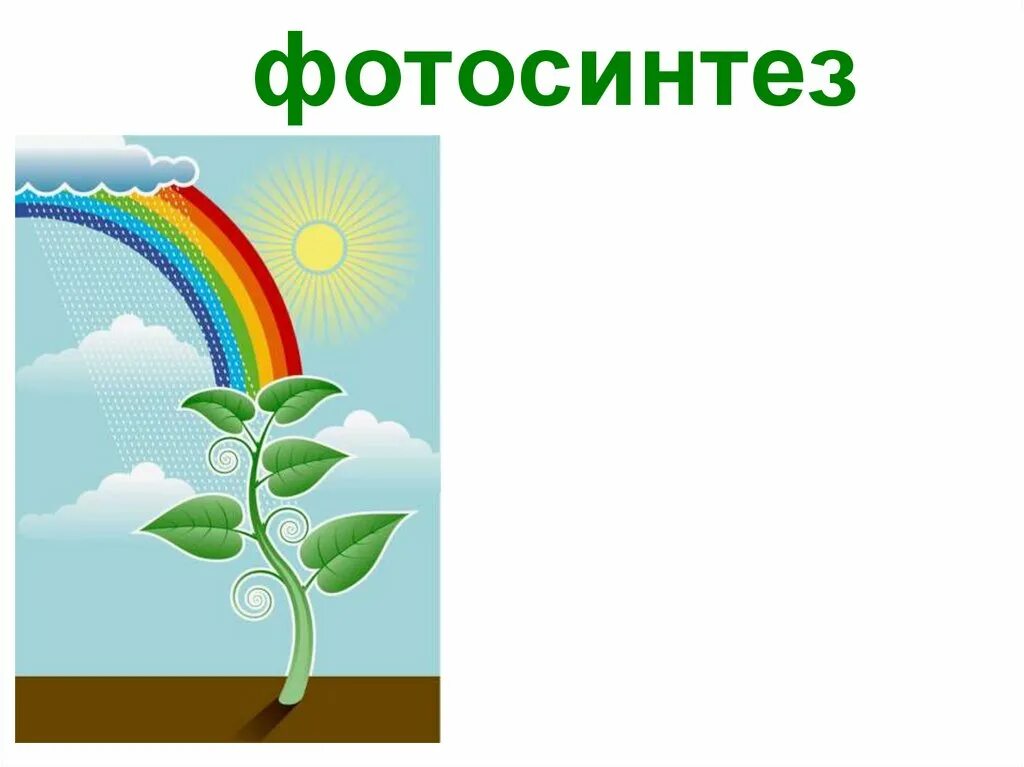 Фотосинтез рисунок. Фотосинтез растений 3 класс. Питание растений фотосинтез. Фотосинтез 6 класс биология. Фотосинтез растений 6 класс.