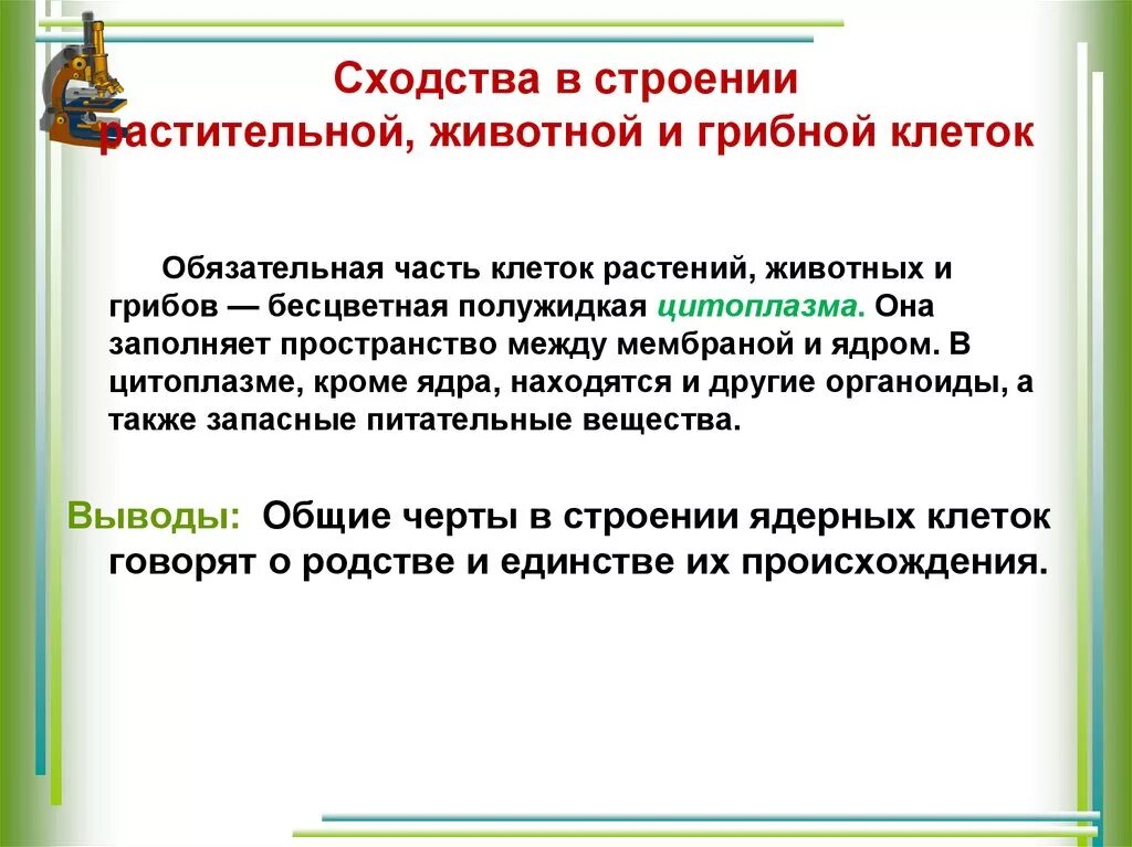 Вывод растительные и животные клетки. Сходства и различия растительной и животной клетки вывод. Вывод сходства и различия клеток. Строение и сходство растений. Вывод клетки растений и животных.