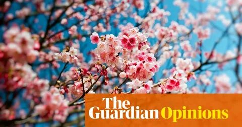 Spring begins
