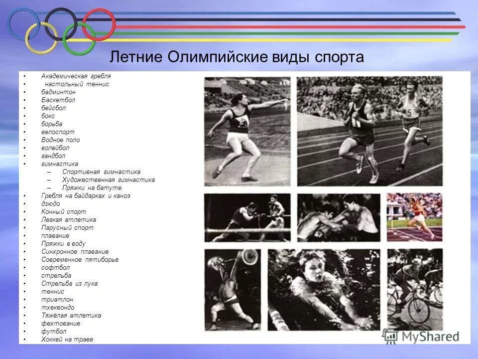 что означают олимпийские кольца. главный принцип олимпийских игр. античные олимпийские игры. основной принцип проигравших в олимпийских состязаниях. олимпийские кольца цвета.