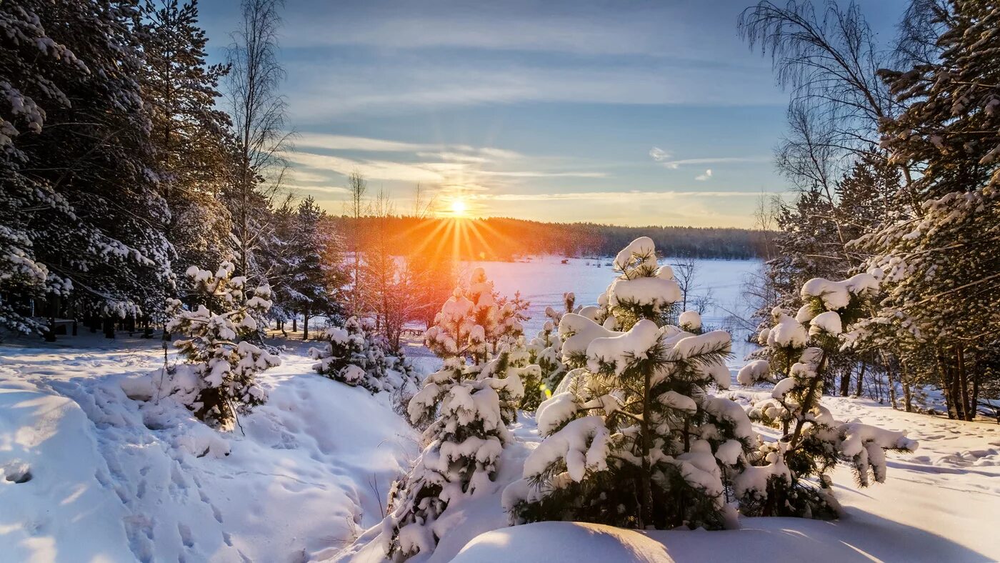 Красивого утра февраля. Зимнее утро. Солнечный зимний день. Зимний пейзаж. Красивая зима.