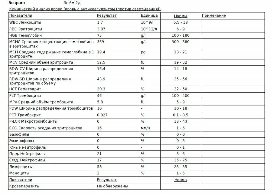 Эритроциты повышены у кота. Эритроциты лейкоциты соэ норма. показатель эритроцитов в крови норма. общий анализ крови норма соэ и лейкоциты. нормальные показатели общего анализа крови у кошек.