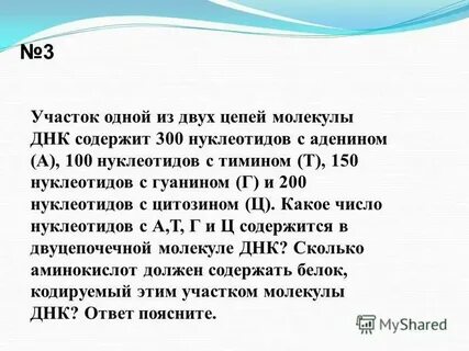 Сколько молекул ирнк кодирует 20 аминокислот