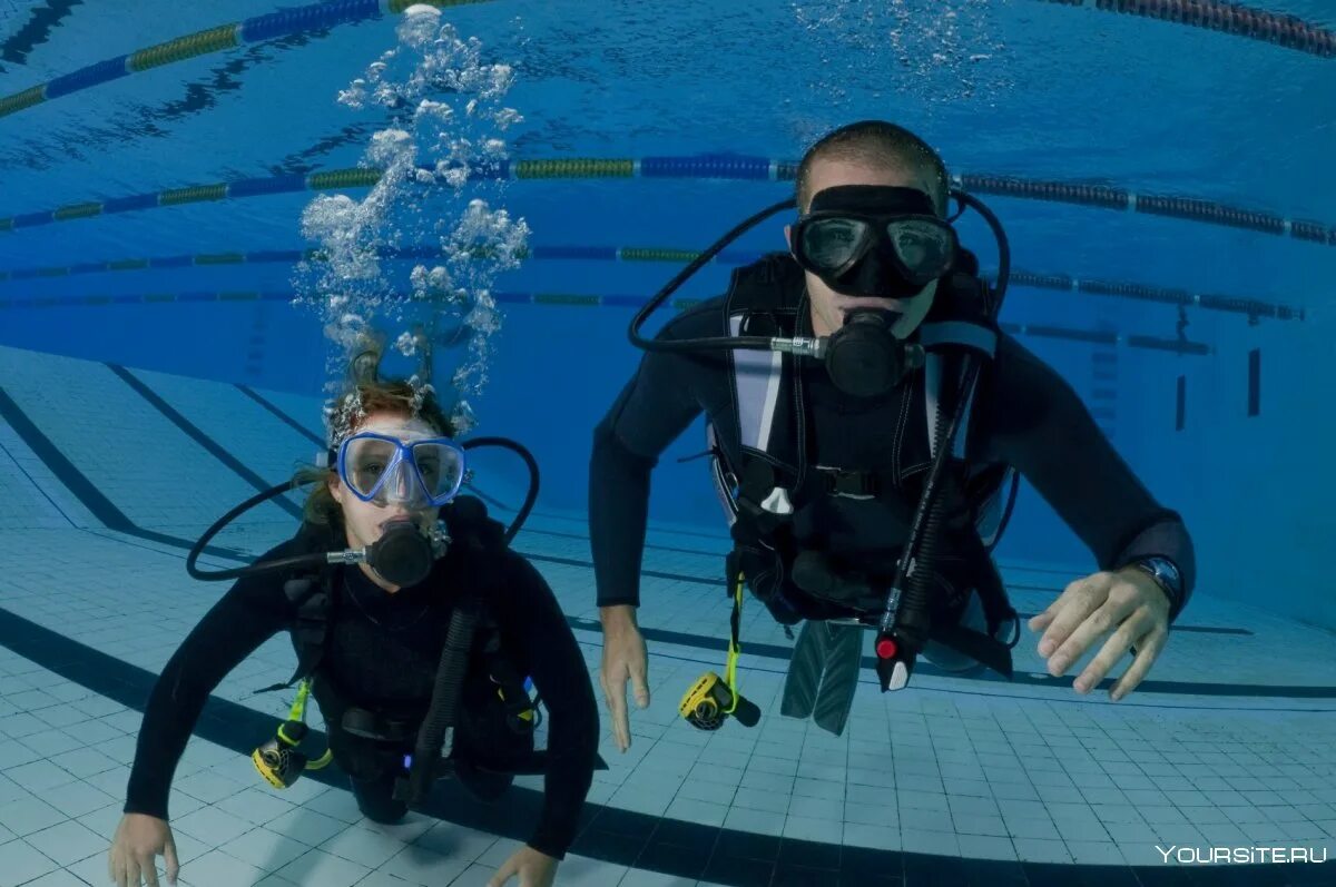 Как называется акваланг. Скуба-дайвинг, scuba-diving погружение. в бассейне с аквалангом. аквалангист в бассейне. дайвер в бассейне.
