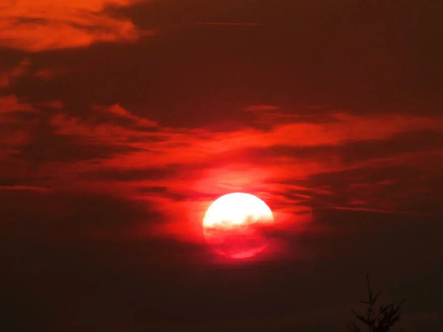 Май и солнце сейчас. Красное солнце 2к. Красное солнце сейчас. Солнце красное явилося. Красное солнце полный рай.