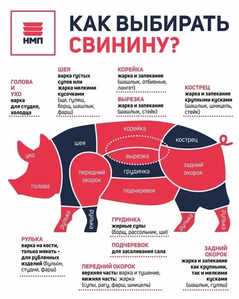 Части мяса свинины. Название частей мяса свинины. Мясо свинины части туши. Как выбрать свинину. Лучшая часть мяса говядины