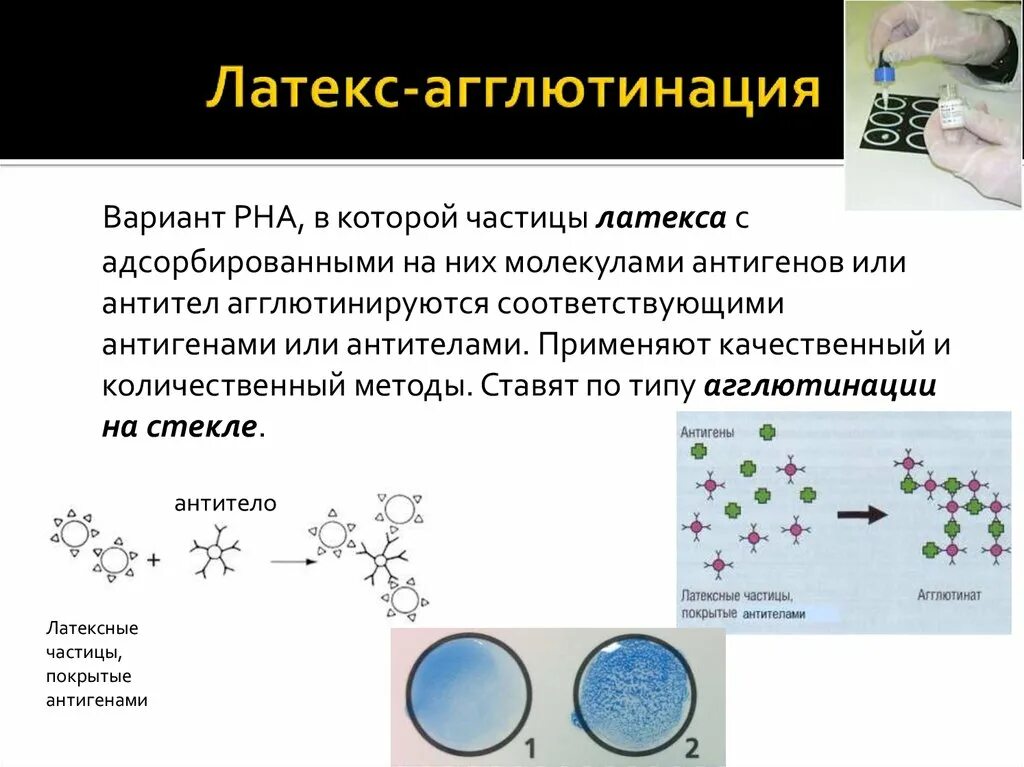 Типы латексов