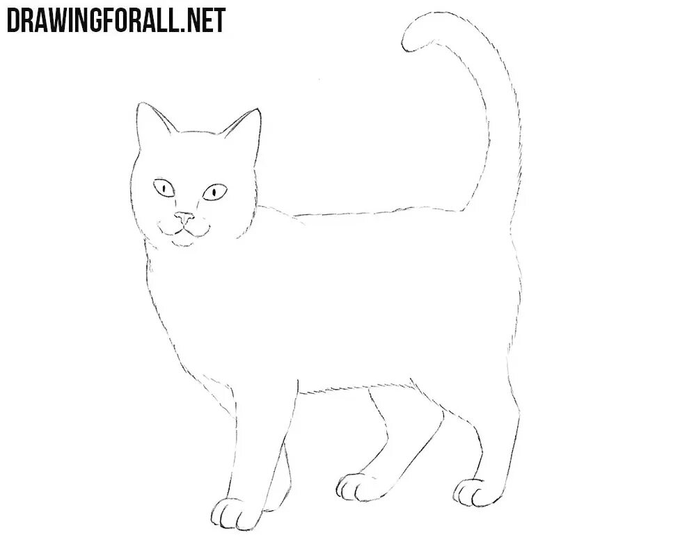 Как нарисовать катнапа. Кошка рисунок карандашом. Схематичный рисунок кошки. Поэтапное рисование кошки. Рисунок кота карандашом для детей.