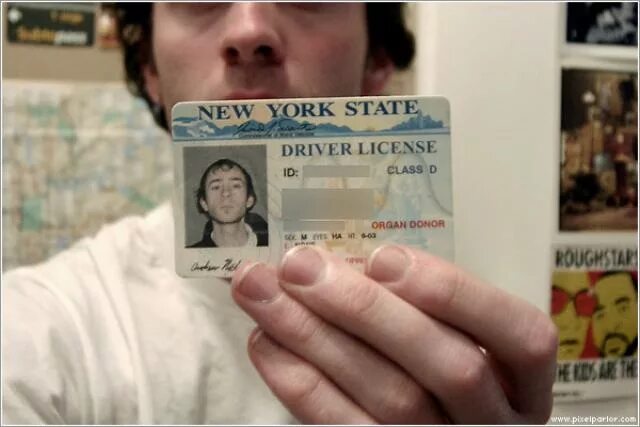 Licensing new. New York Driver License. New York Driver License New. New York State Driver License. Driver License New York back.