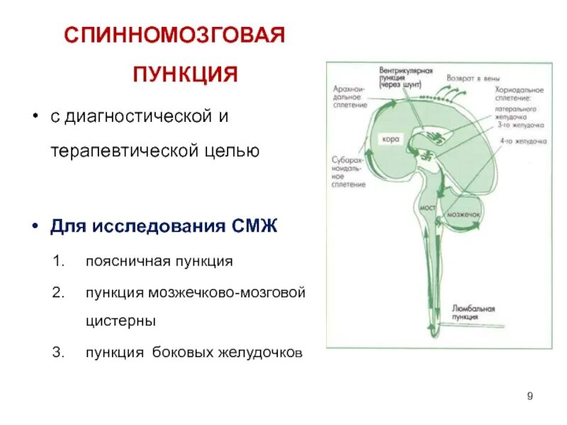 Пункция мозжечково-мозговой цистерны. Спинномозговая пункция цель. Пункция для исследования спинномозговой жидкости. Методы исследования спинномозговой жидкости.