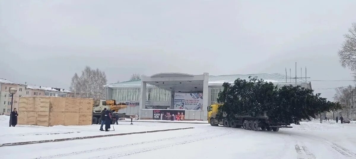 Березовский кузбасс подслушано. Кемерово упала елка 2023. В мурманске упала елка. Березовский кузбасс подслушано. Доски дорога.