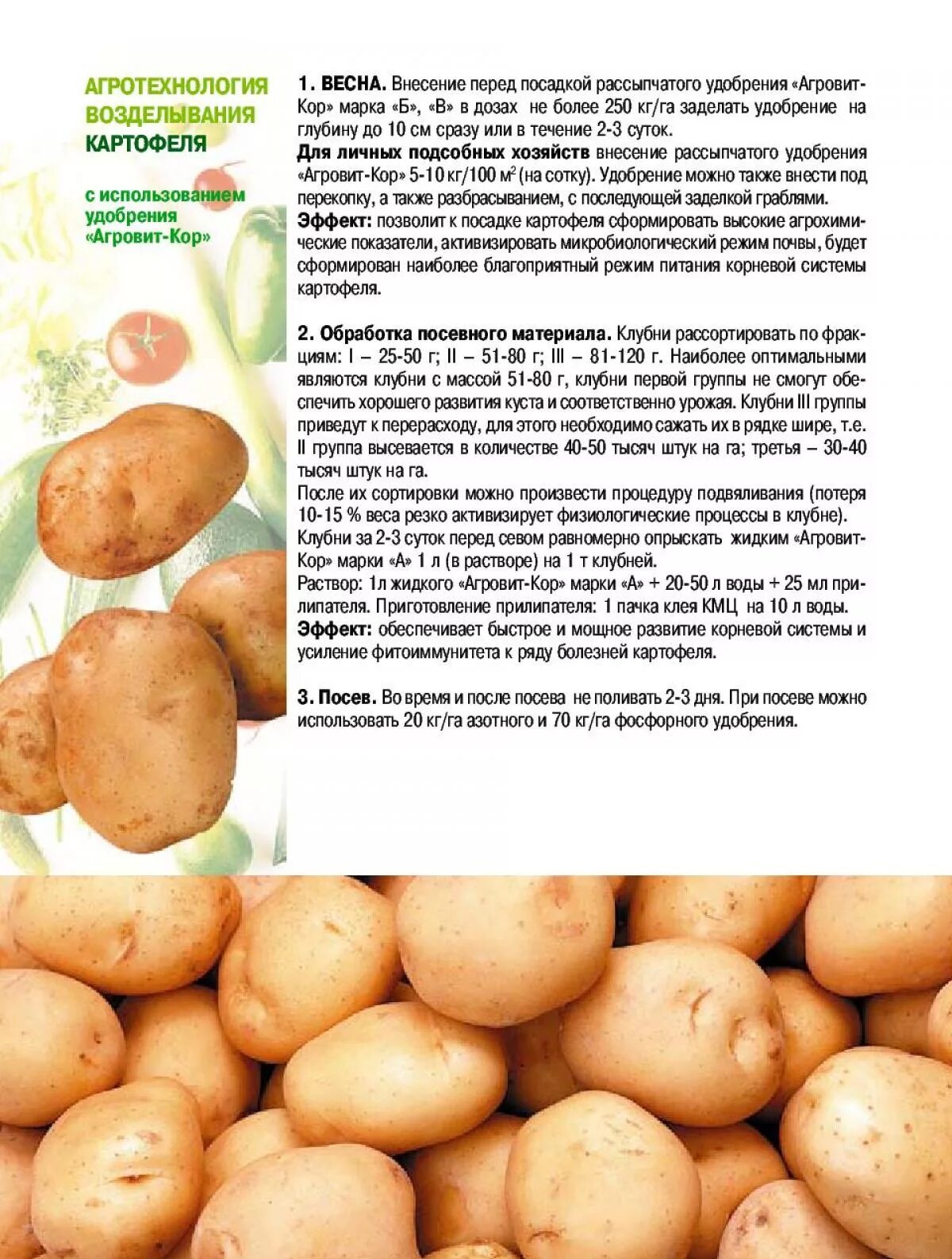 Характеристики сорта коломбо. Коломбо сорт картофеля характеристика. картофель коломбо описание. сорт картофеля коломбо характеристика отзывы. описание картофеля сорта северянка.