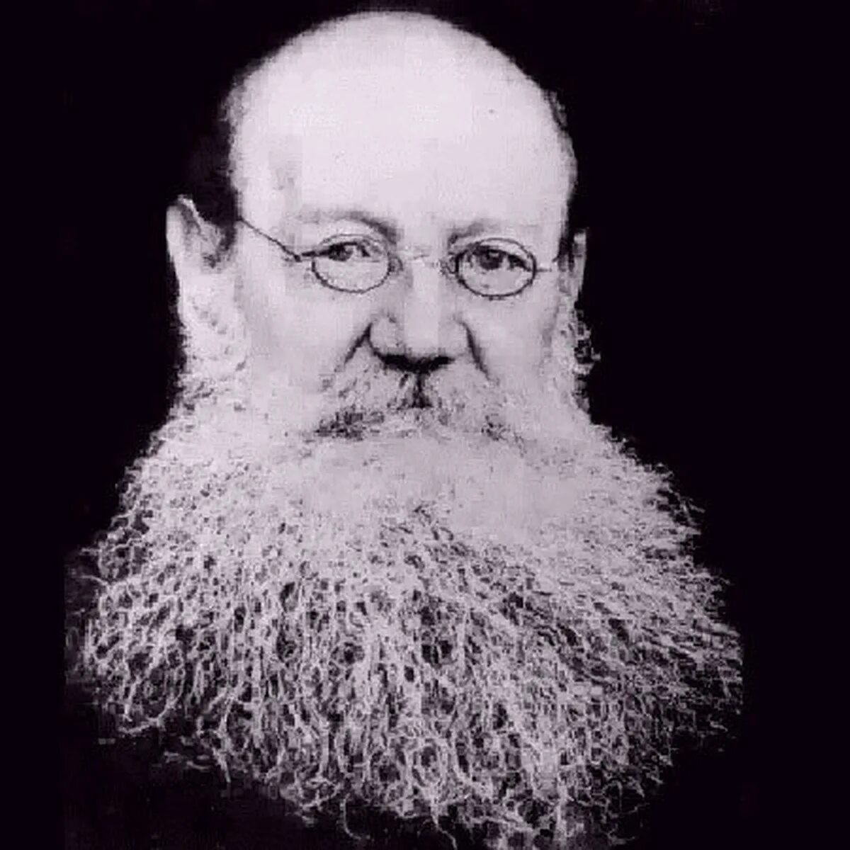 Престарелые кропоткин. П.А. Кропоткин (1842–1921).