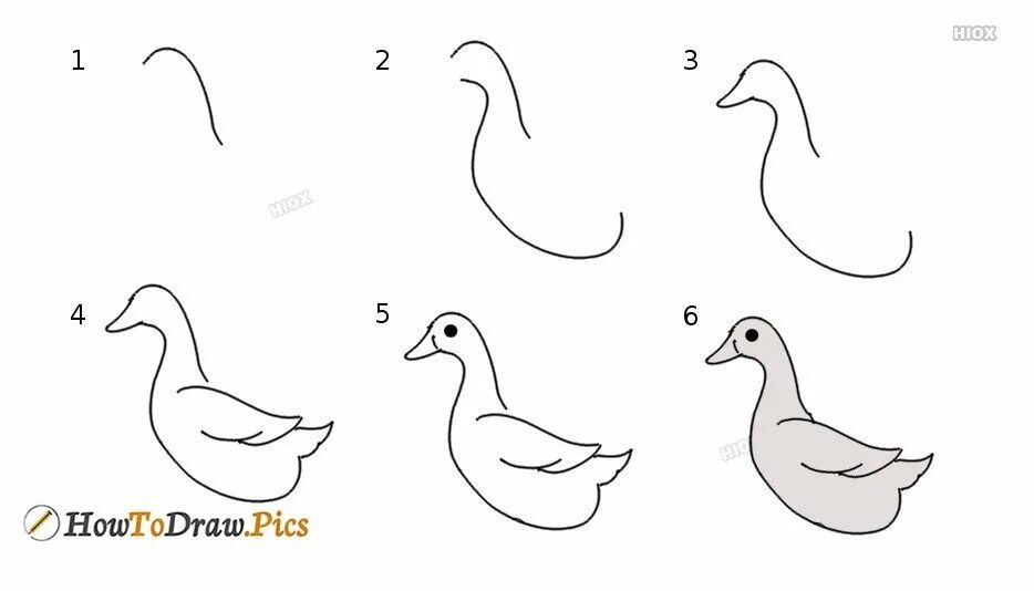 Утки для начинающих. Этапы рисования лебедя. Поэтапное рисование гадкого утёнка. Лебедь рисование пошагово. Гадкий утенок нарисовать легко.