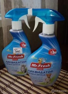 Mr fresher