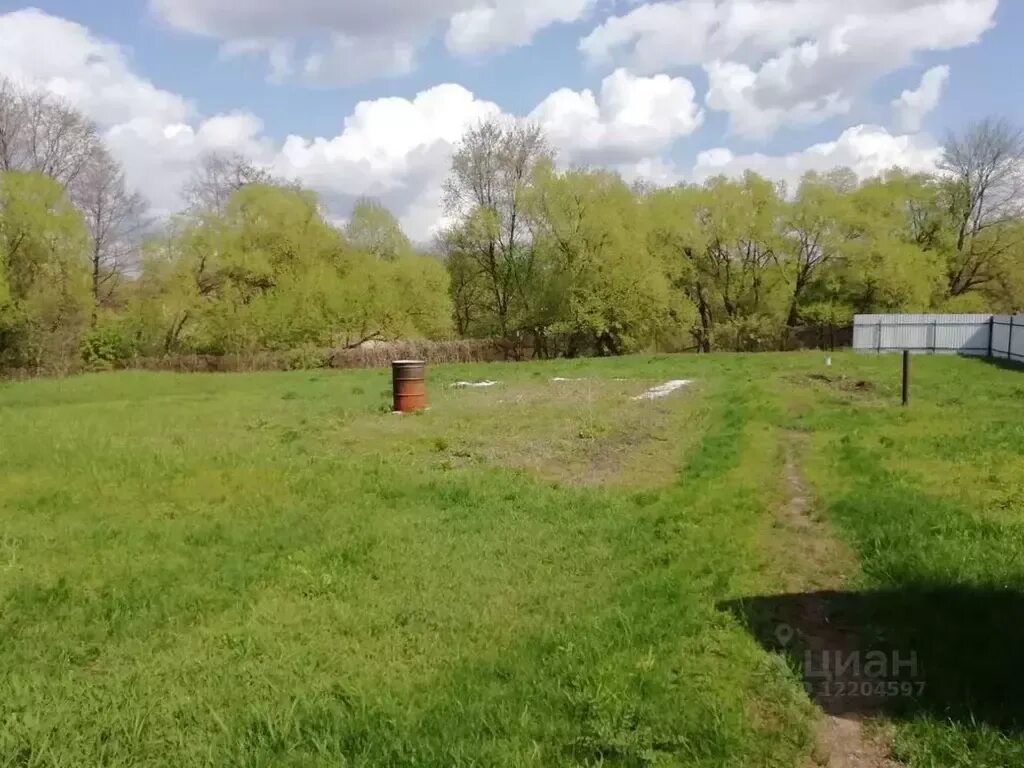 Погода староживотинное воронежской. Воронеж староживотинное церковь. Село староживотинное. Староживотинное воронежская область. Погода староживотинное воронежской.