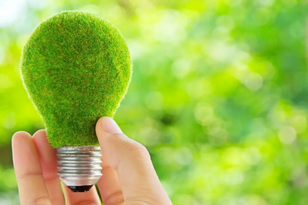 Эко энергетика. Energy logo. Eco energy. Энергетик вектор. Эко сайты.