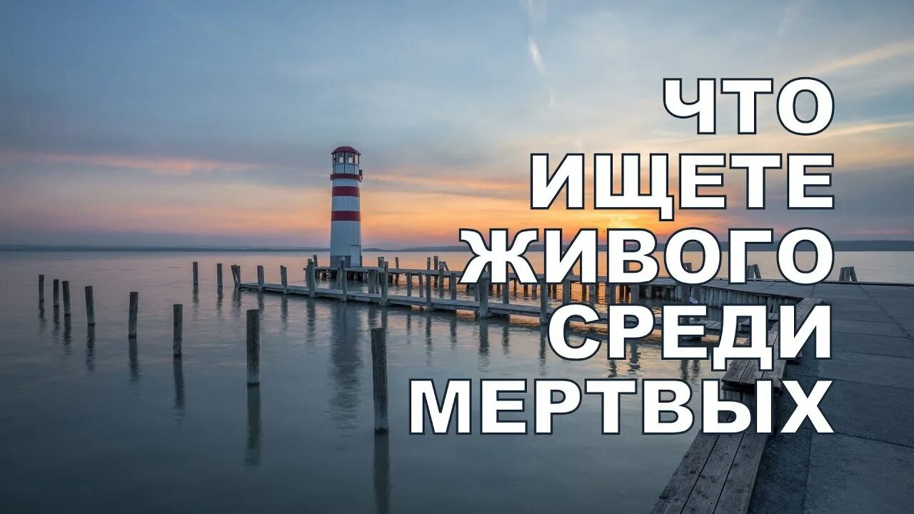 Среди мертвых и живых. Что ищете живого среди мертвых. Что вы ищите живого среди мертвых. Что вы ищите живого среди. Что вы ищете живого.