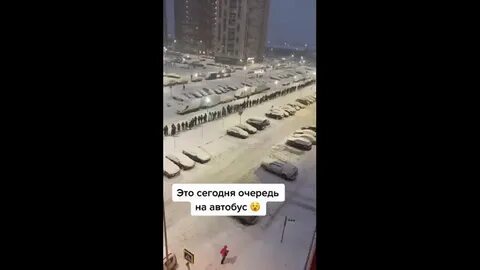Автобус пригород лесное