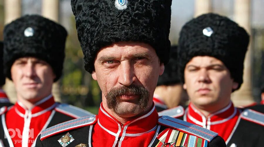 Казак берет. Черкеска урядника линейных казаков. «кубанские казаки в львове» васюк. папаха кубанского казачьего войска.