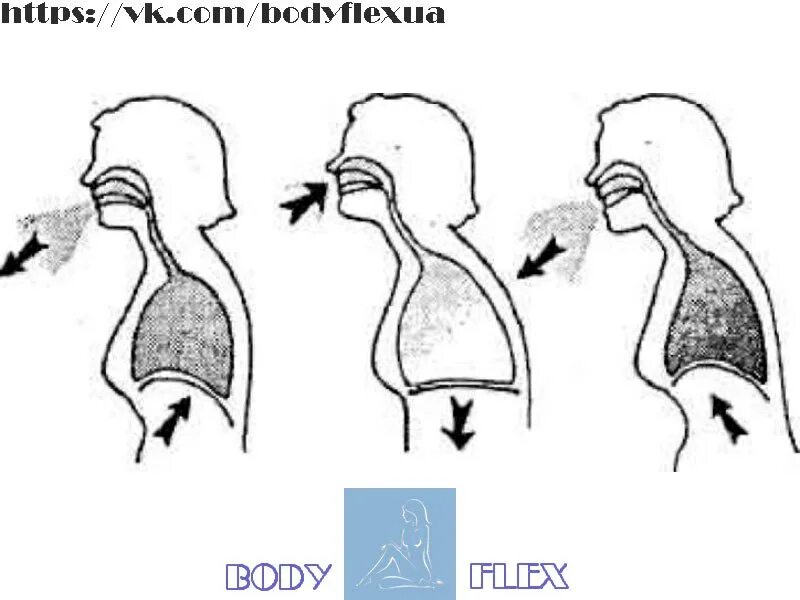 Через нос выдох через рот. Дыхание через рот. Глубокие дыхательные упражнения. Дыхательная гимнастика схема. Тренировка дыхания.